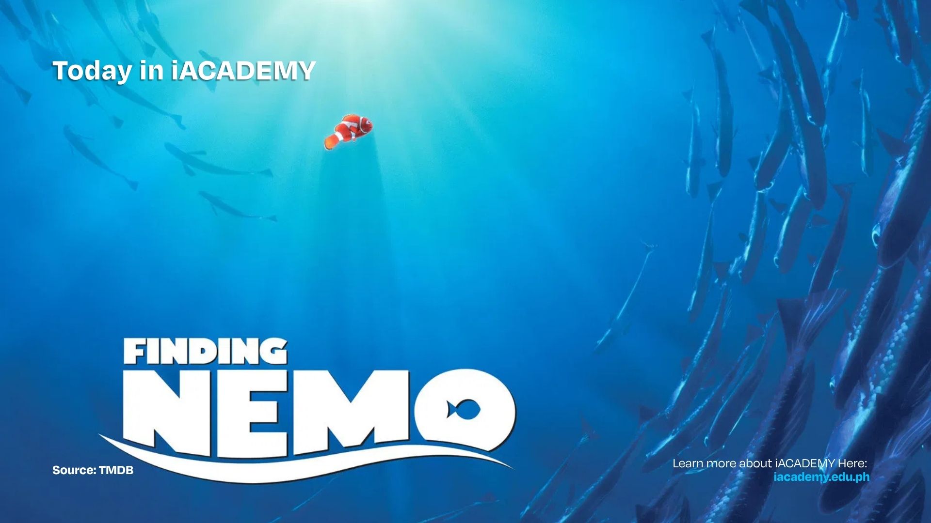 iACADEMY is a year older than Finding Nemo